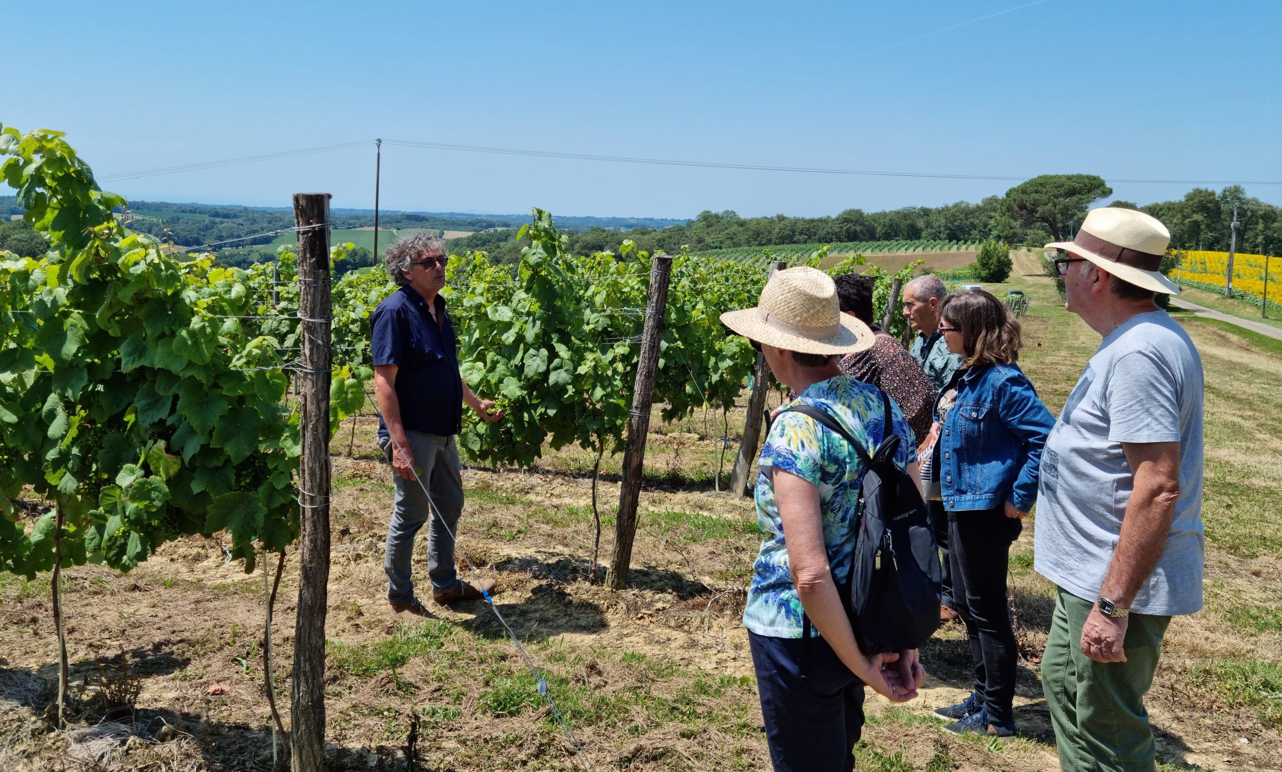 Jean Michel Viot président de Ma vigne en Tursan décrit un des cépages des Bounlos